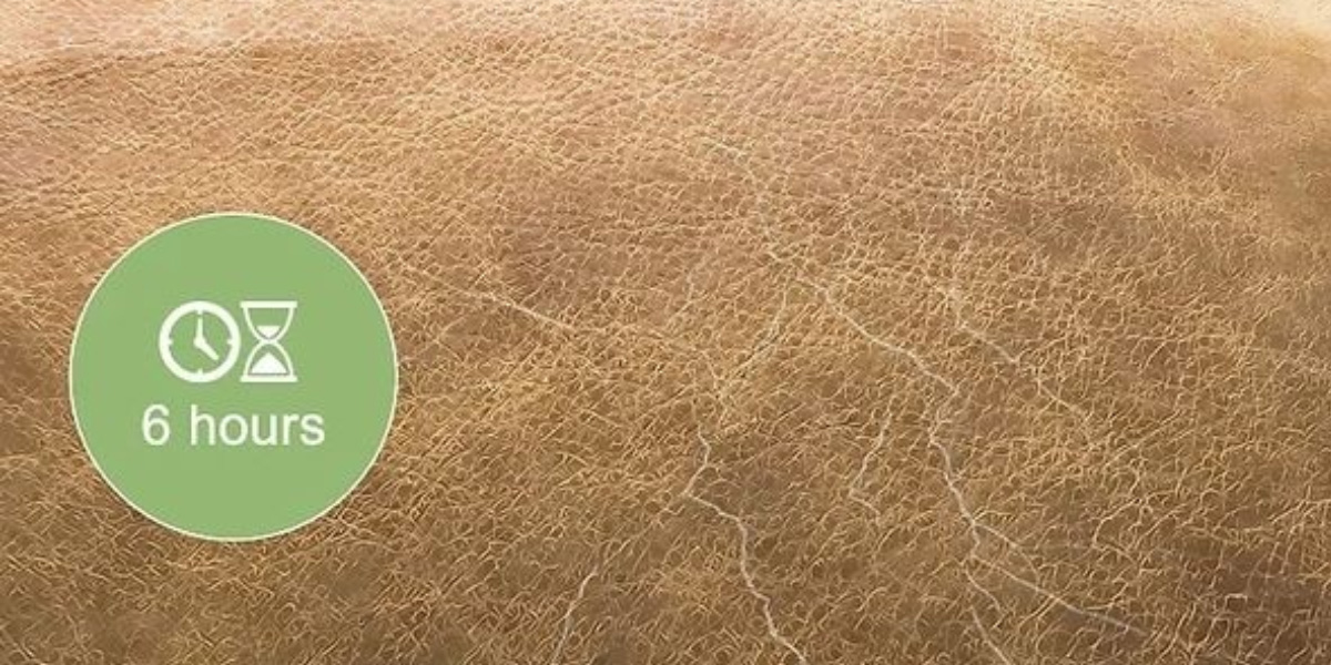 آموزش تصویری تعمیر مبل چرم پاره، پوسیده و ترکخورده 13 6 ساعت به مبل خود زمان دهید که فیلر خشک شود.