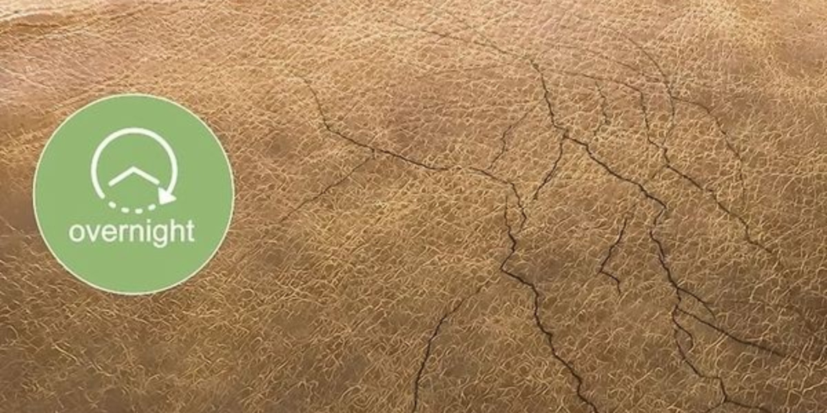 آموزش تصویری تعمیر مبل چرم پاره، پوسیده و ترکخورده 9 24 ساعت به مبل زمان دهید که خشک شود.