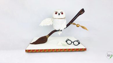 آشنایی با کیک ضد جاذبه برای عاشقان شیرینیپزی 23 کیک ضد جاذبه با المانها و ابزارهای مختلفی پخته میشود.