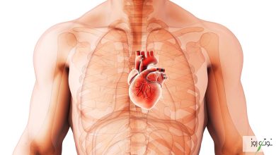 ضخیم شدن دیواره قلب؛ علائم، روشهای تشخیص، پیشگیری و درمان 24 ضخیم شدن دیواره قلب یکی از بیماریهایی است که سلامت این ارگان مهم را به خطر میاندازد.