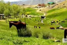 روستای بلرتو بهترین روستای ملایر 93 آیا تا به الان به روستای بلرتو سفر کرده اید؟ با نوت روز همسفر این مطلب در belerto باشید.