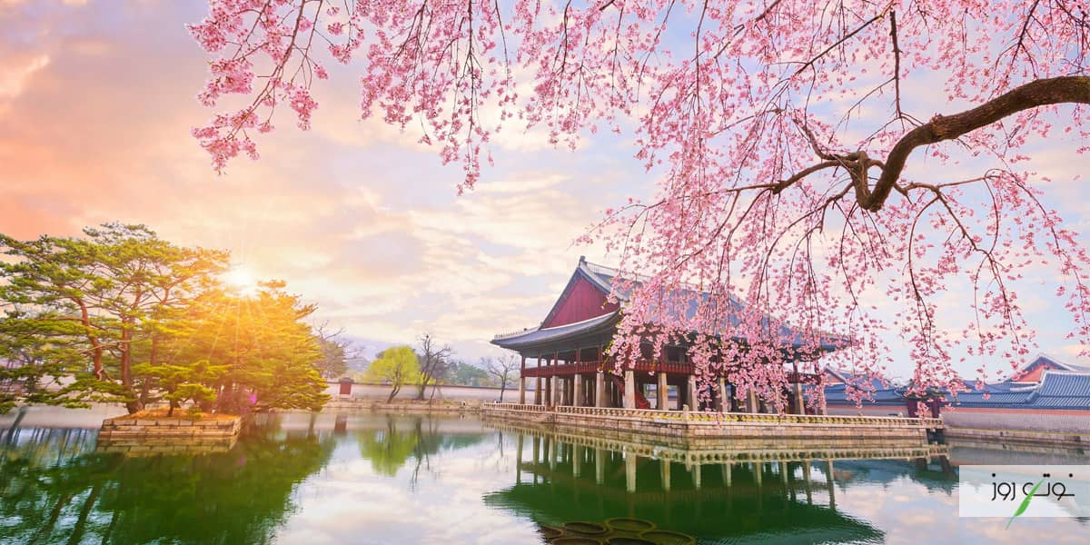 برای سفر رایگان به کره جنوبی تنها کافی است که راهنما سفر به کره جنوبی را مطالعه کنید و به صورت آنلاین از این کشور بازدید نمایید.