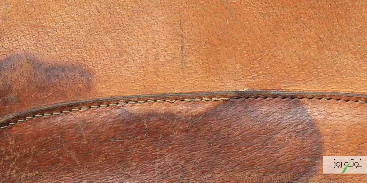 راهنمای جامع پاک کردن انواع لکه از روی چرم 4 پاک کردن لکه چربی از روی چرم