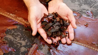 پوسته پوسته شدن چرم