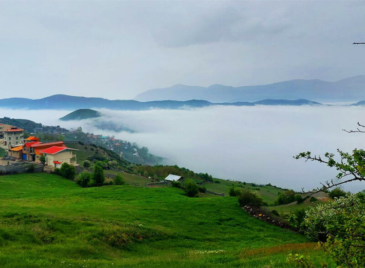 225770eb e2bc 4414 bc3c dd799f4418ca