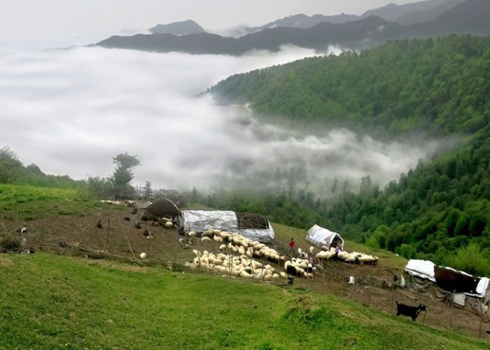 6ed5818a 4c71 4ae5 817e 4910fcc479b6