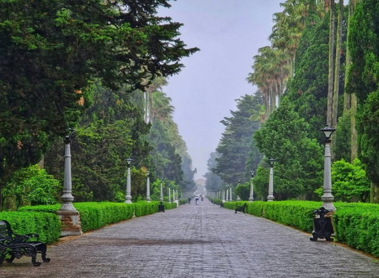 fe7ab1aa 2ddb 45dd 8f48 0dd7fb4500e4